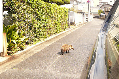 あんたダレ
