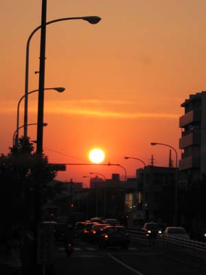 夕日