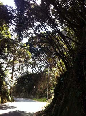 通勤路