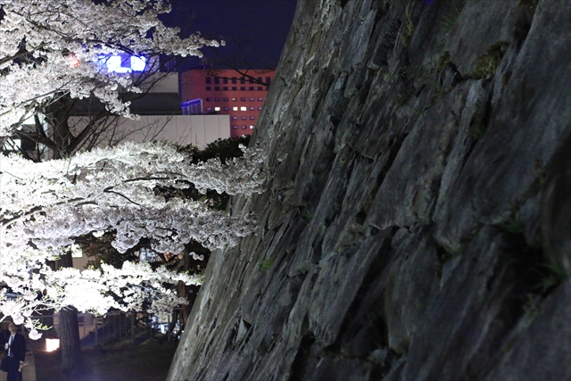 IMG_7417_R.JPG