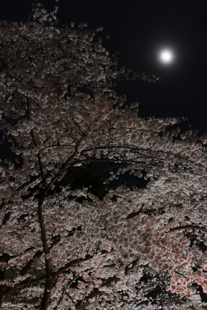 IMG_7460_R.JPG