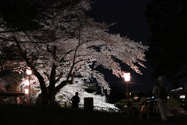 IMG_7480_R.JPG