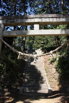 菜b田