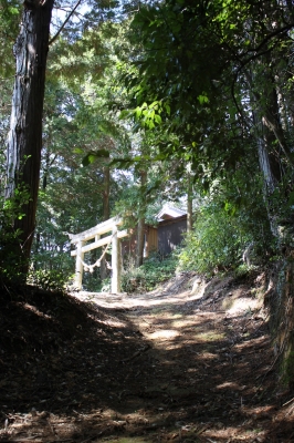 鍋田