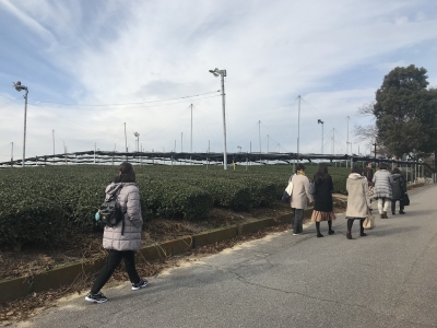 IMG_0517 - ¥³¥Ô¡¼.JPG