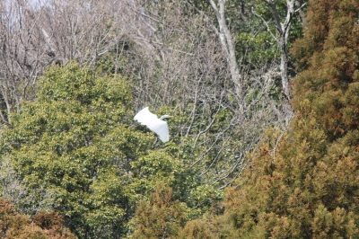 IMG_2556.JPG