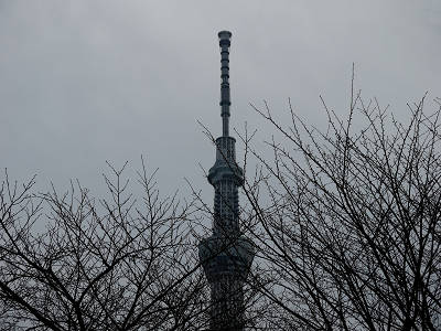 Àµ·î¥Ä¥ê¡¼