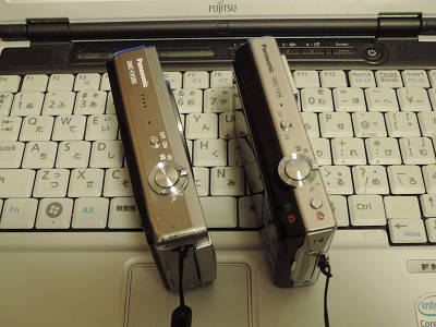 DMC-FX500Æþ¼ê£²