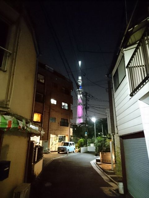 ¥Ô¥ó¥¯¥ê¥Ü¥óÅÀÅô