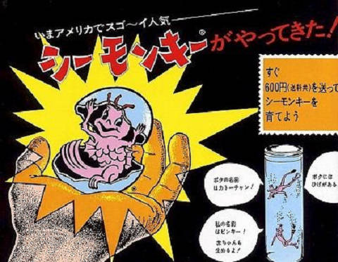 懐かしのシーモンキー | RadioSioz
