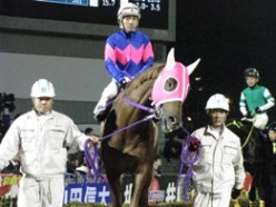 コウエイノホシ