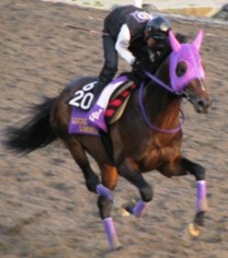ルースリンド