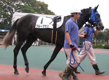 ブループラス1