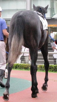 ブラープラス