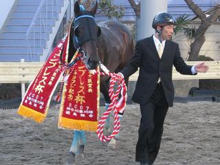 トーセンジョウオーエンプレス