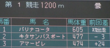 パリナコータ