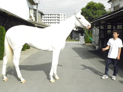 ユキチャン