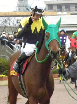 トウホクビジン