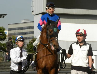 ブリーズフレイバー