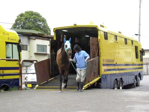 馬運車