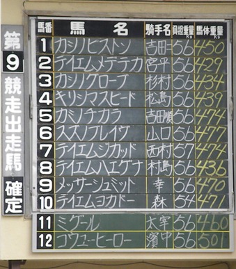 8月26日テイエムヨカドー7.jpg