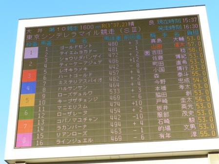 東京シンデレラマイル
