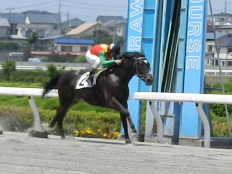 浦和新馬
