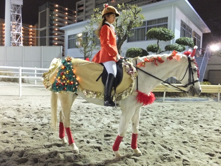 新品正規店】 競馬 誘導馬(阪神競馬場 2005年W.S.J.S仕様)ゼッケン