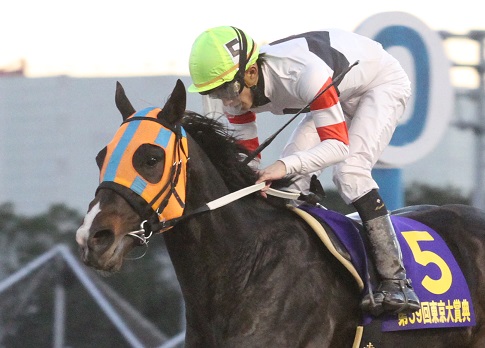 東京大賞典、ホッコータルマエ優勝！ | 南関魂 高橋華代子の南関東競馬