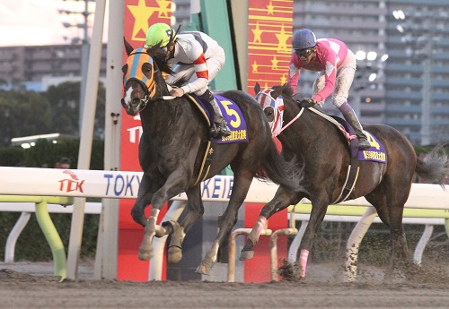 東京大賞典、ホッコータルマエ優勝！ | 南関魂 高橋華代子の南関東競馬