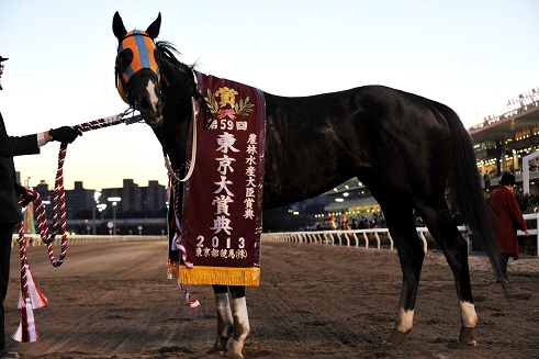 東京大賞典、ホッコータルマエ優勝！ | 南関魂 高橋華代子の南関東競馬