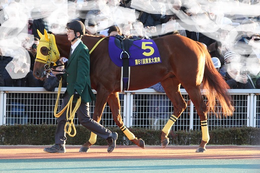 東京大賞典、サウンドトゥルー優勝！ | 南関魂 高橋華代子の南関東競馬