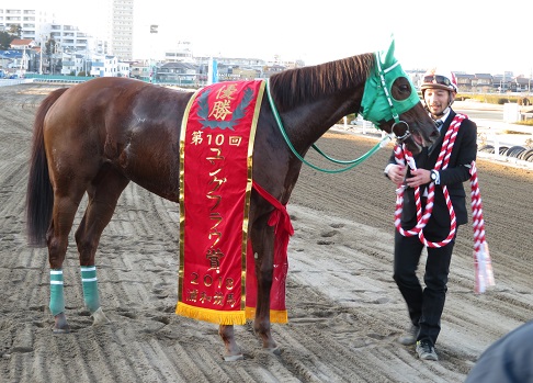 南関魂 高橋華代子の南関東競馬ブログ