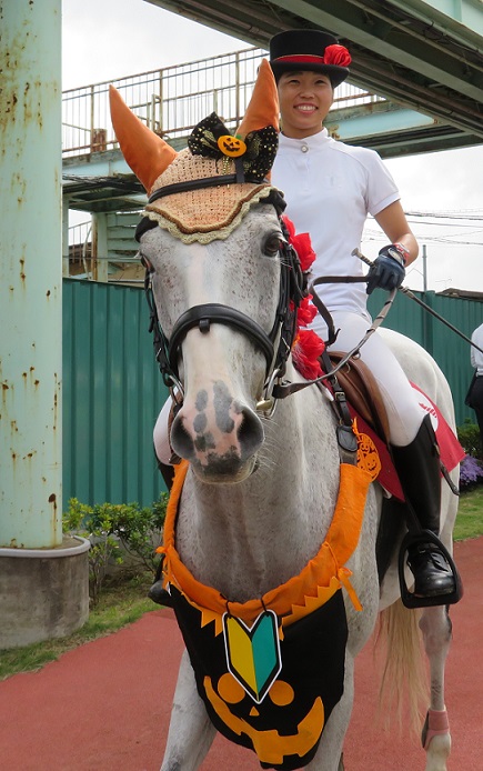 競馬 誘導馬(阪神競馬場 2005年W.S.J.S仕様)ゼッケン melodiapet.com.br