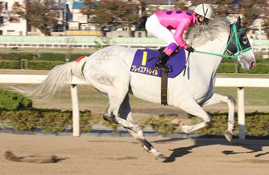 ファビラスラフインのお孫さん、ブレイズアトレイル | 南関魂 高橋