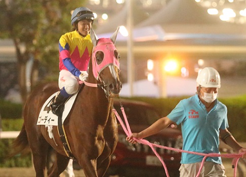 12歳ゴーディーと18歳のぞみちゃん 南関魂 高橋華代子の南関東競馬ブログ