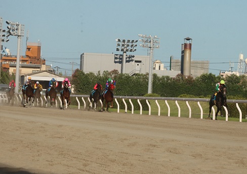 南関魂 高橋華代子の南関東競馬ブログ