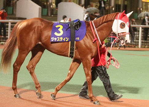 東京盃 ジャスティン優勝 南関魂 高橋華代子の南関東競馬ブログ