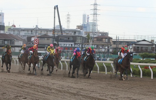 競馬 結果 園田