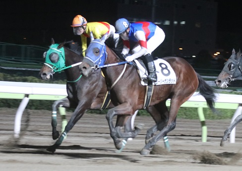 一世を風靡した勝負服。 | 南関魂 高橋華代子の南関東競馬ブログ