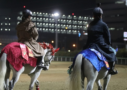 関東 4 場 南 競馬