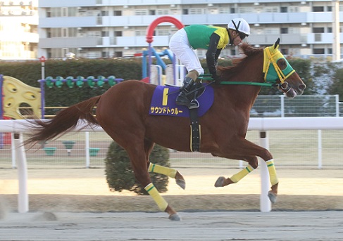 南関東最年長11歳サウンドトゥルー！！！ | 南関魂 高橋華代子の南関東