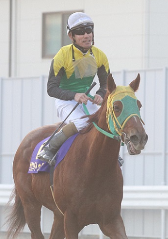 南関東最年長11歳サウンドトゥルー！！！ | 南関魂 高橋華代子の南関東