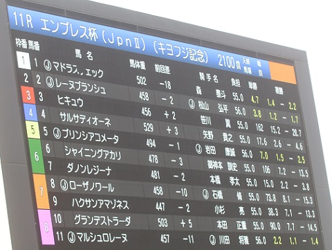 エンプレス杯、マルシュロレーヌ優勝! | 南関魂 高橋華代子の南 エンプレス杯、マルシュロレーヌ優勝! | 南関魂 高橋華代子の南