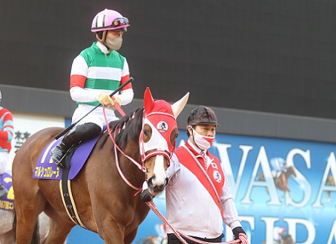 エンプレス杯、マルシュロレーヌ優勝! | 南関魂 高橋華代子の南 エンプレス杯、マルシュロレーヌ優勝! | 南関魂 高橋華代子の南