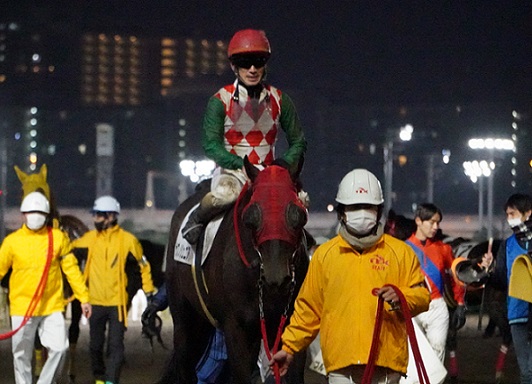 Amazon.co.jp: サブノジュニア 純銀カード 楽天競馬抽選50名限定