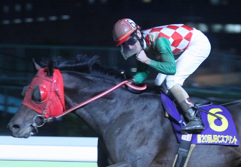Amazon.co.jp: サブノジュニア 純銀カード 楽天競馬抽選50名限定