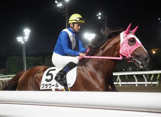 東京記念連覇したルースリンドの第４５回東京記念実使用優勝ゼッケン 南関魂 高橋華代子の南関東競馬ブログ