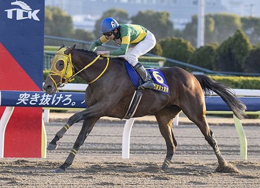 東京大賞典、ウシュバテソーロ優勝！ | 南関魂 高橋華代子の南関東競馬