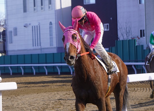 9歳馬さんたちの南関東卒業レース。 | 南関魂 高橋華代子の南関東競馬